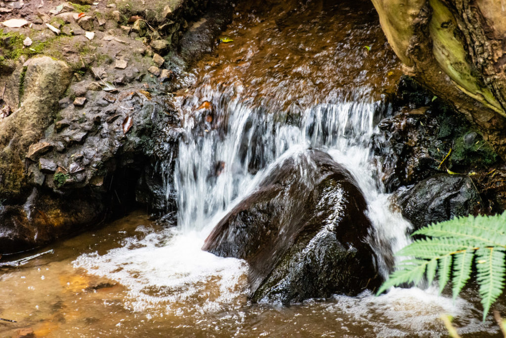 Klaasenbosch, cascade, stream, waterfall