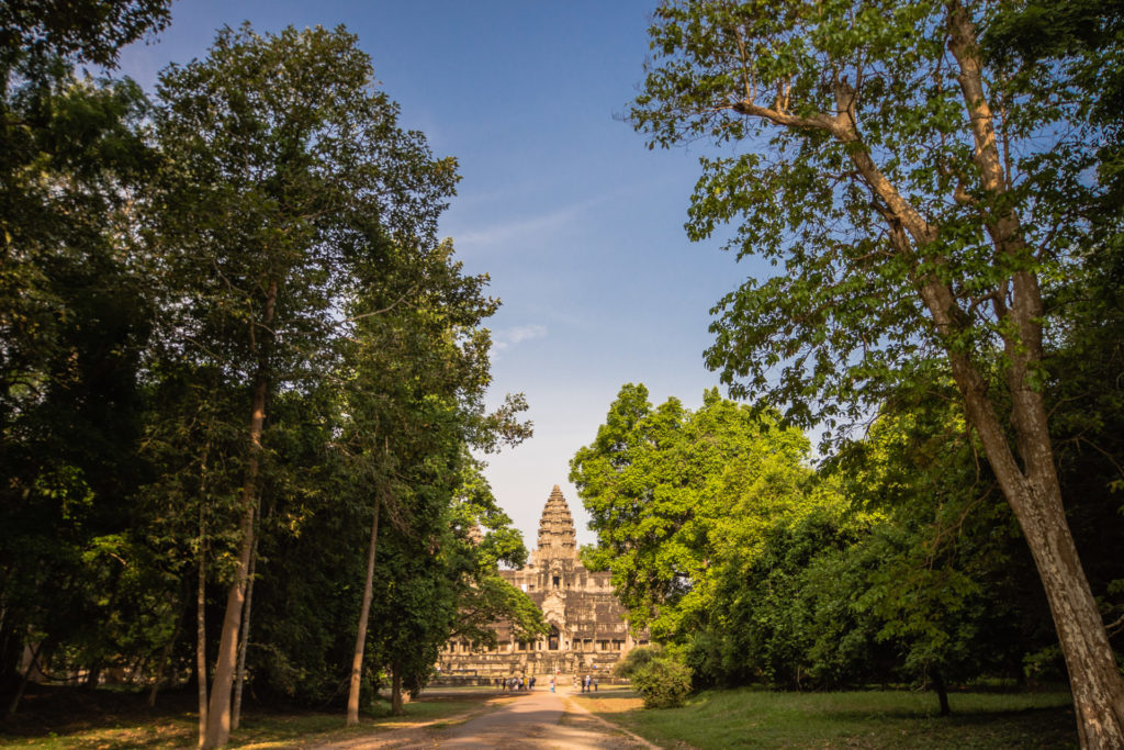 Angkor, Cambodia, building, stone, temple, tree