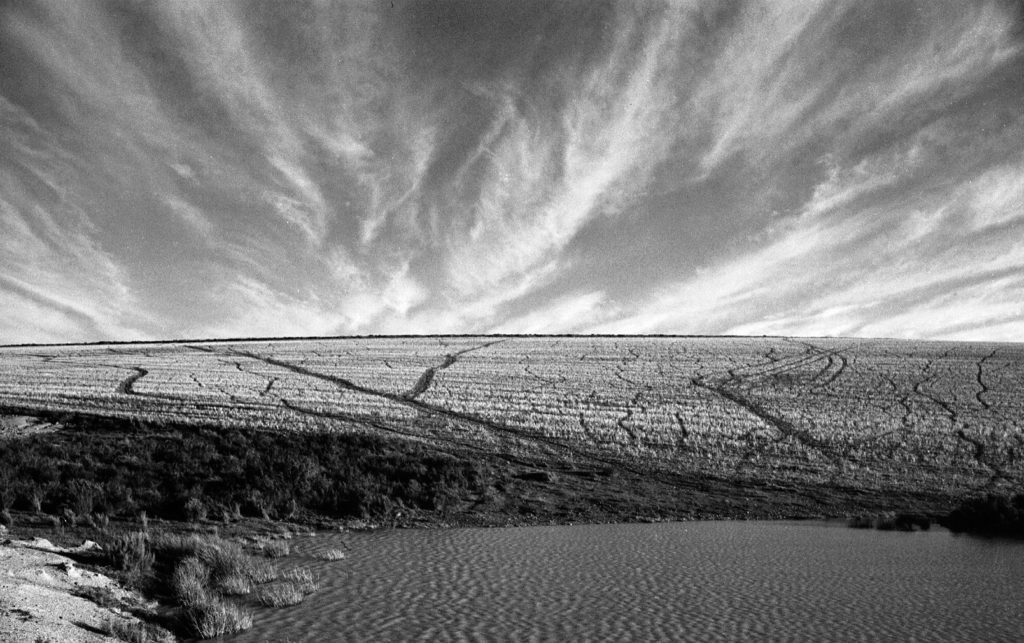 black & white, cloud, farm, landscape, monochrome, sky, water, weather, wheatfield