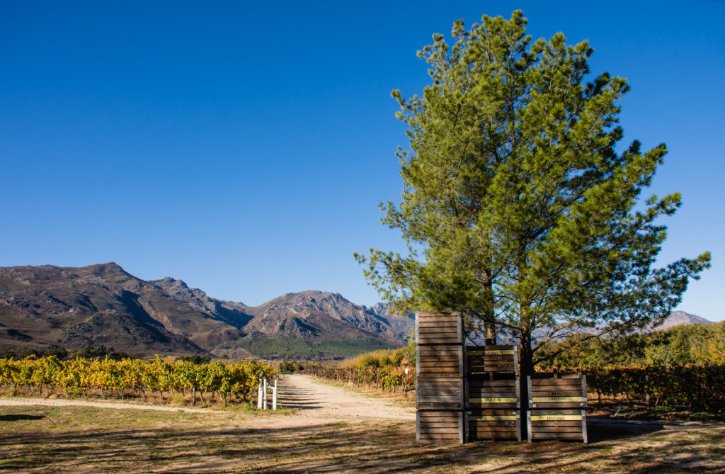 Franschhoek, box, farm, landscape, mountain, tree