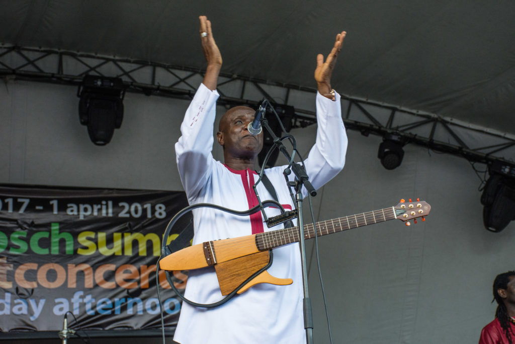 Ismael Lo, Kirstenbosch, concert, crowd, musician