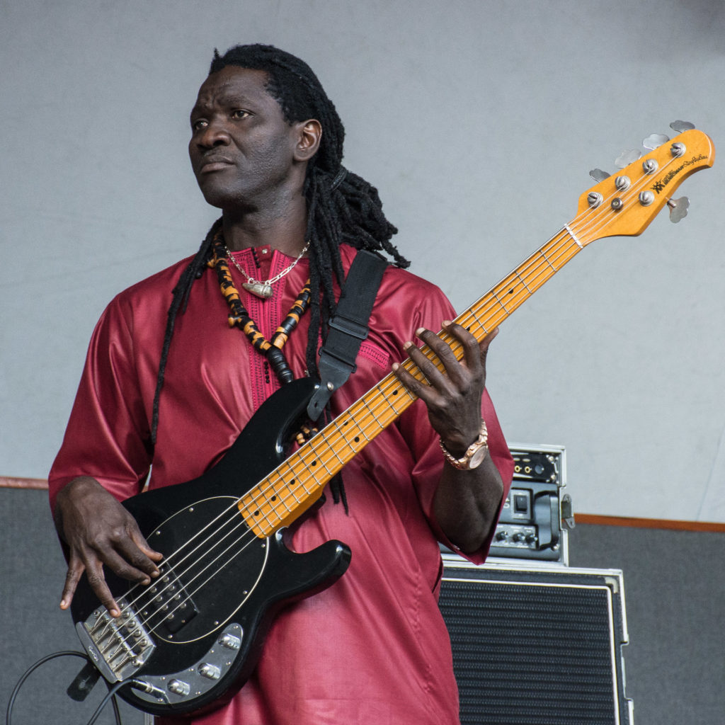 Ismael Lo, Kirstenbosch, bassist, concert, musician