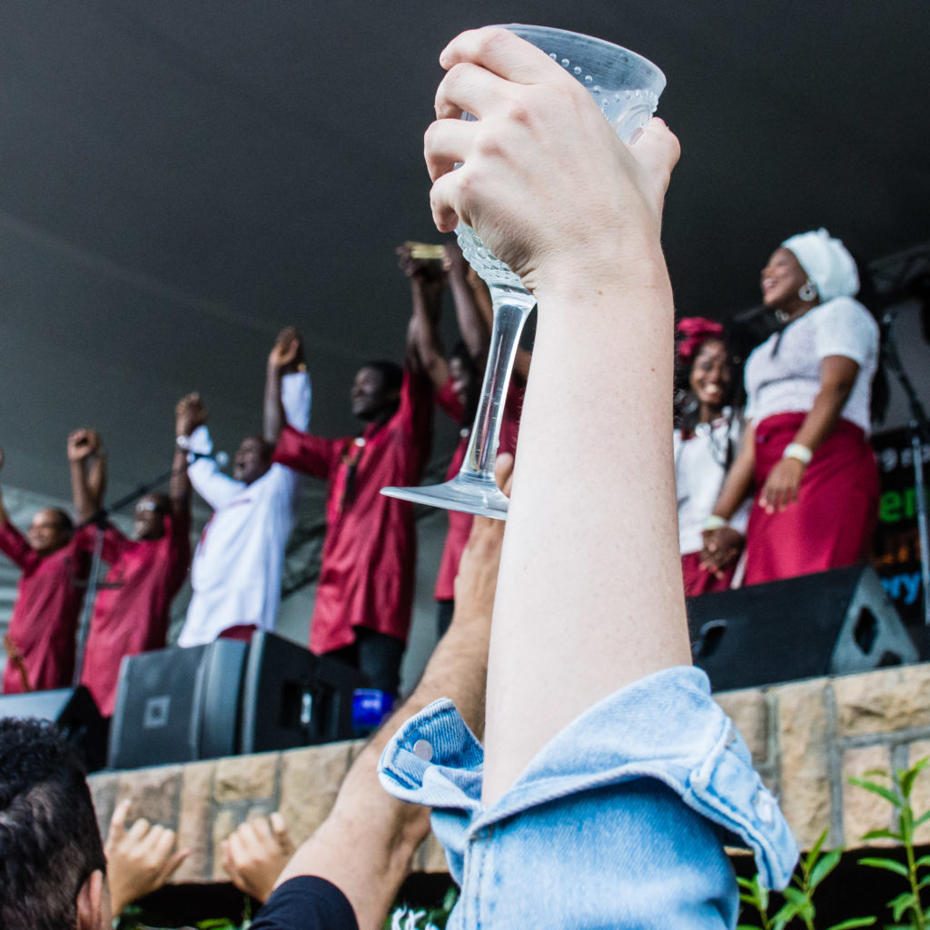 Ismael Lo, Kirstenbosch, concert, musician, wine glass