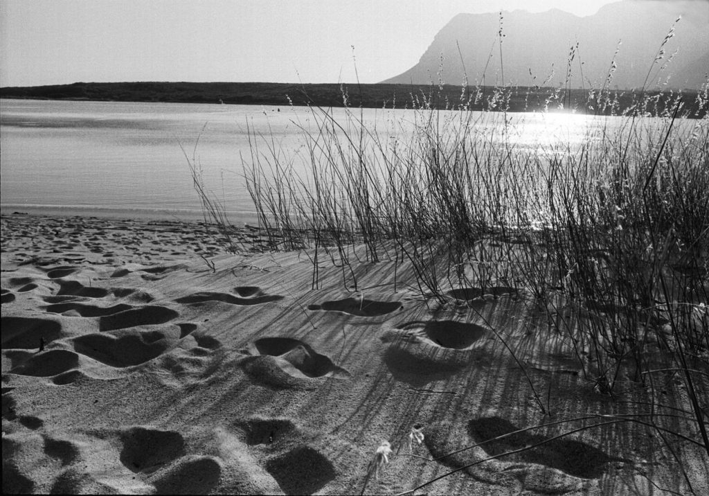 Palmiet River mouth, beach, black & white, cloud, monochrome, reeds, sand, sea, seascape, sun, weather