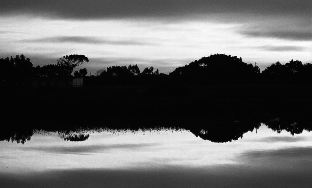 Rietvlei, black & white, landscape, monochrome, reflection, silhouette, water