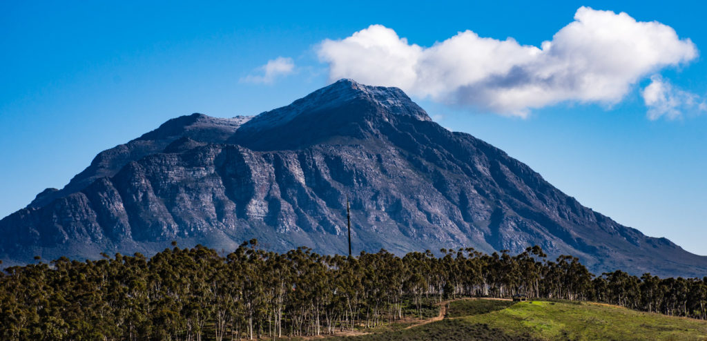 Saronsberg, Tulbagh, landscape, mountain, snow, tree, weather