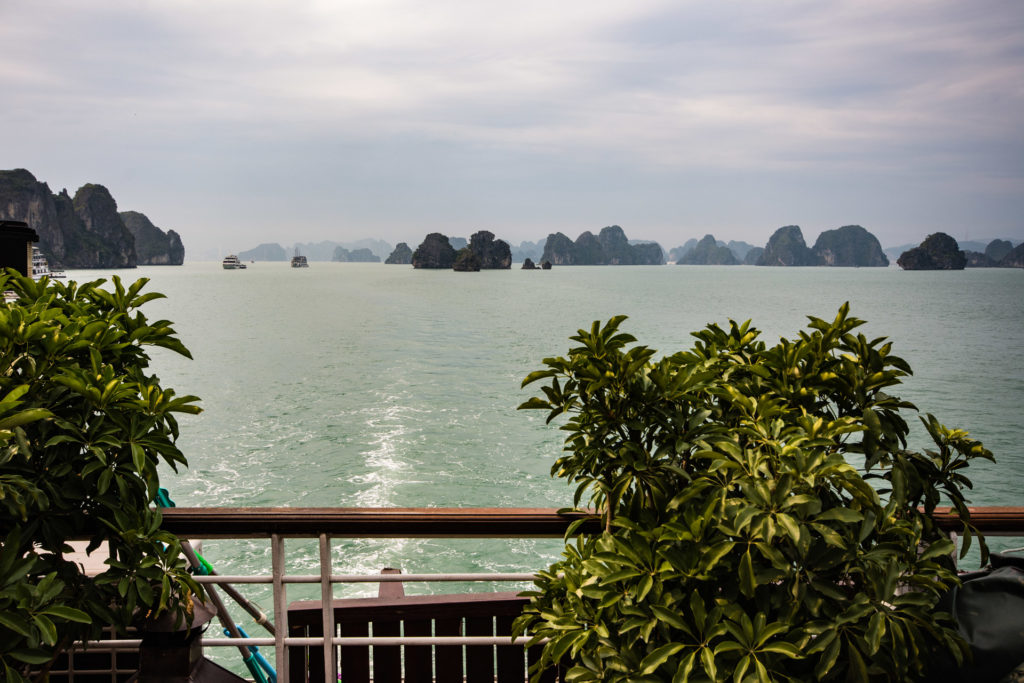 Halong Bay, Vietnam, boat, karst, sea, sea stack, seascape, tree