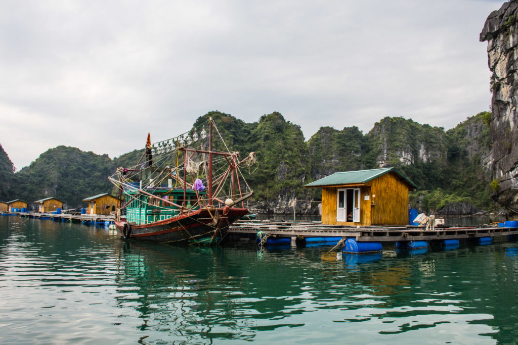 Halong Bay, Vietnam, floating village, karst, sea, sea stack, seascape, water