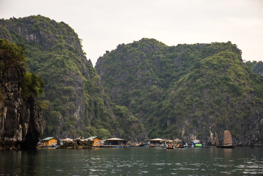 Halong Bay, Vietnam, floating village, karst, sea, sea stack, seascape, water