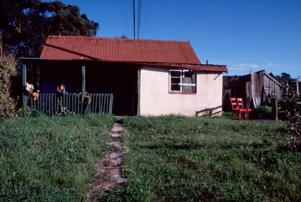 Jeanne, Paddy, Rooidakkies, building, grass, house, ramshackle, red, roof