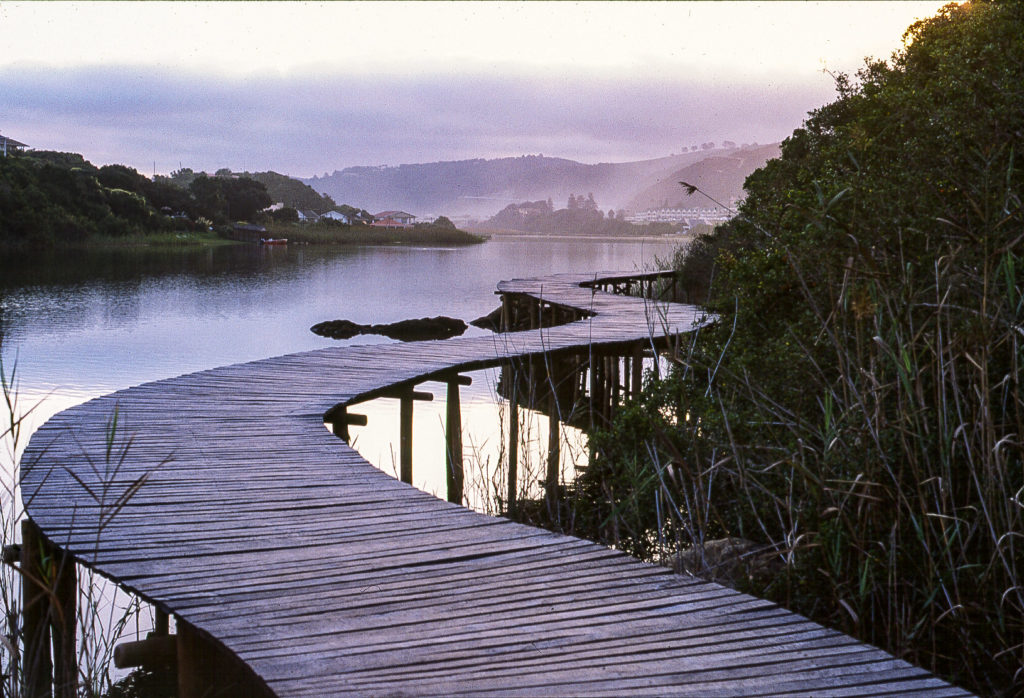 Boardwalk, Wilderness, hotel, lake, reeds, water