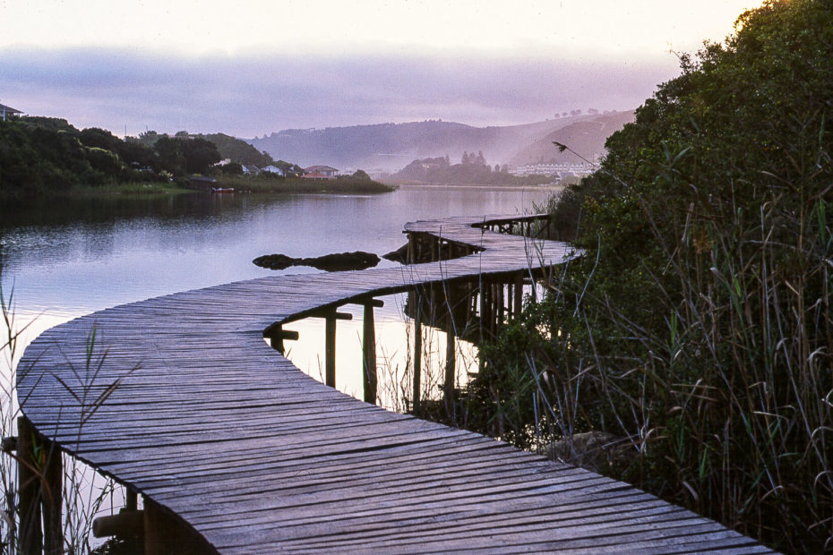 Boardwalk, Wilderness, hotel, lake, reeds, water