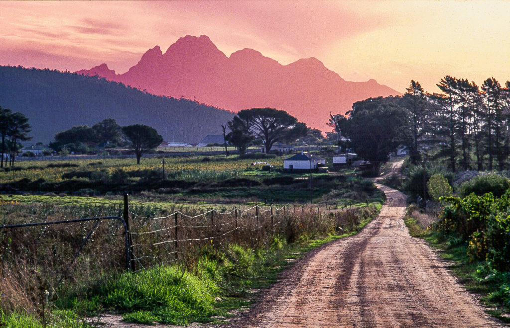 Franschhoek, farm, farmhouse, gravel, mountain, road, sunset, tree