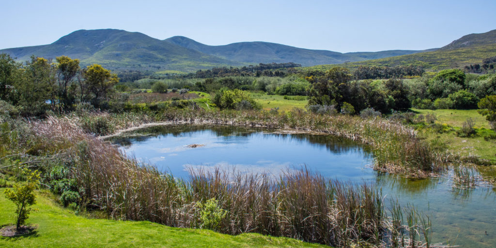 Uijlenes, landscape, pond, water